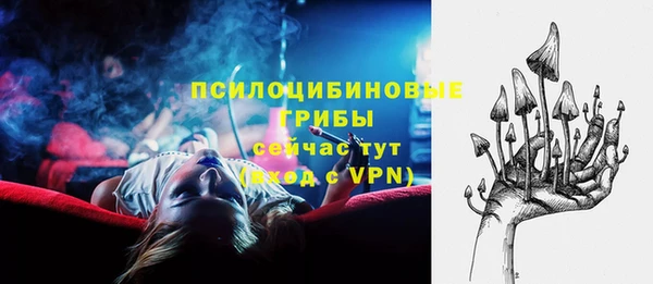 ALPHA-PVP Богданович