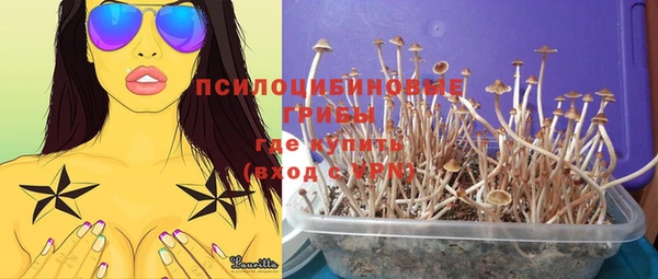 прущая мука Богородицк