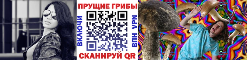 Галлюциногенные грибы GOLDEN TEACHER  Острогожск 
